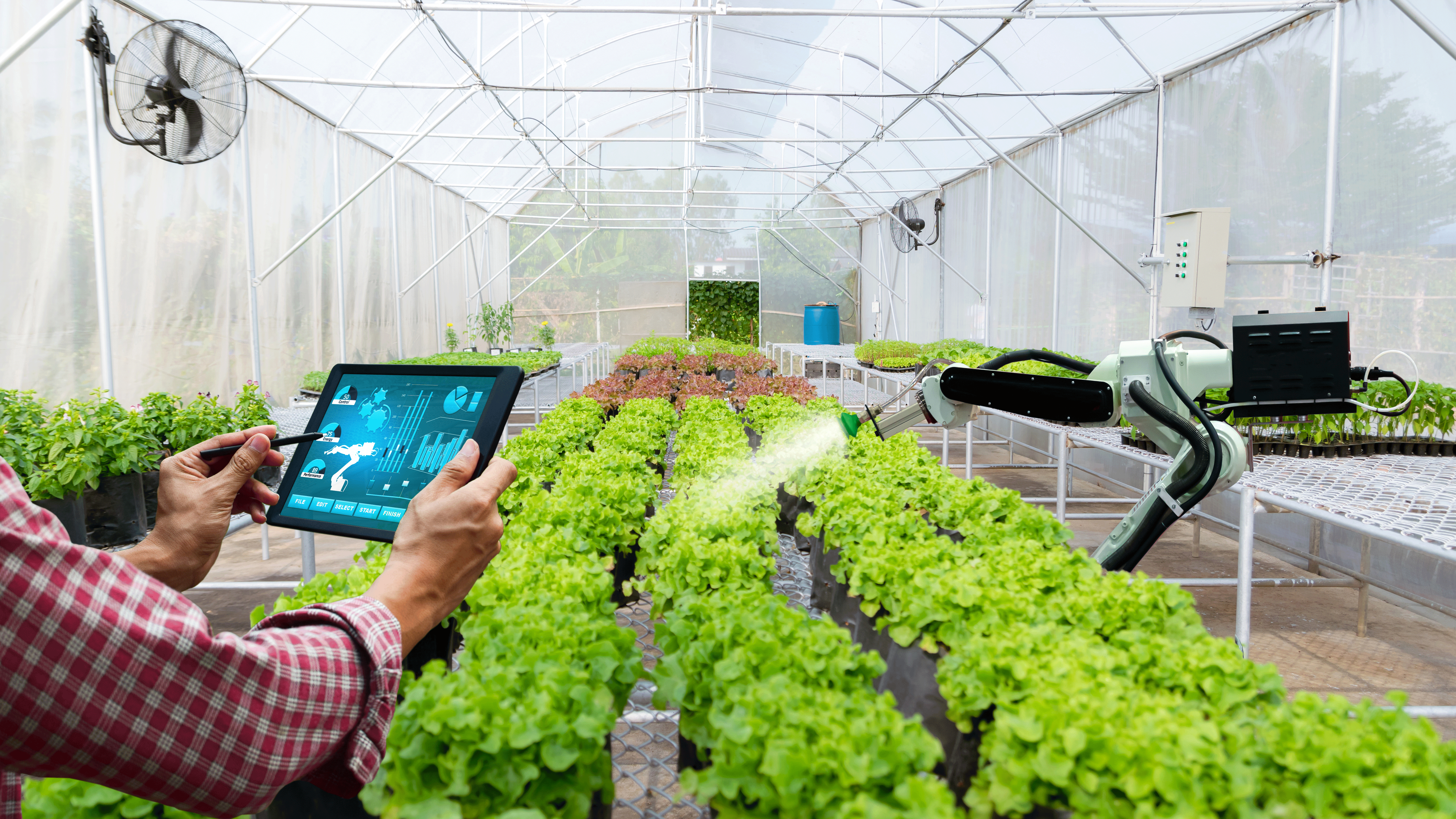 Cabling for agricultural sensors in a Delano field